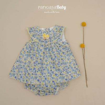 jesusito flores bruma