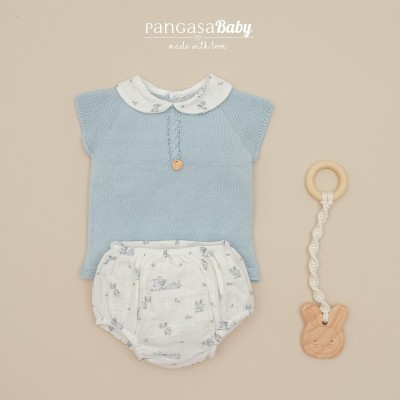 conjunto celeste