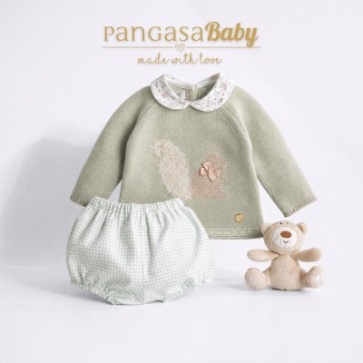 conjunto ardilla