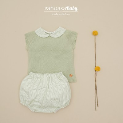 conjunto verde hoja